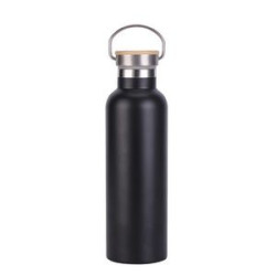 21Oz Super Sparrow Stainless Steel Water Bottle