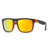 Bike Polarized Sunglasses