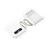 Comes With Four-Wire Power Bank