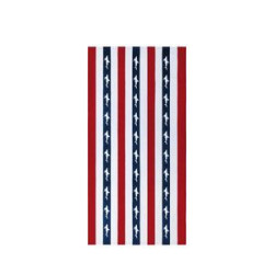 Vertical Rainbow Beach Towel