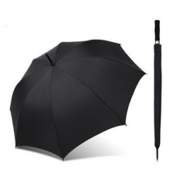 Silk Umbrella