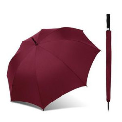 Silk Umbrella