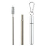 Collapsible Reusable Metal Straws