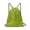 210D Polyester Drawstring Backpack