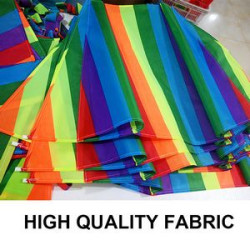 Portable Rainbow Kite with Long Colorful Tails