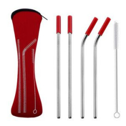 Reusable Stainless Steel Straw With Removable Silicone Tips