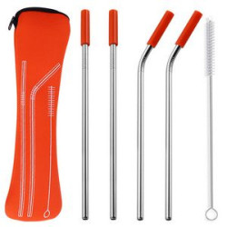 Reusable Stainless Steel Straw With Removable Silicone Tips