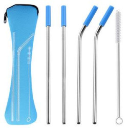 Reusable Stainless Steel Straw With Removable Silicone Tips