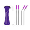 Reusable Stainless Steel Straw With Removable Silicone Tips