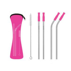 Reusable Stainless Steel Straw With Removable Silicone Tips