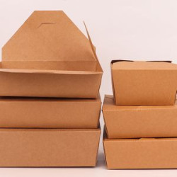 Paper Lunch Box