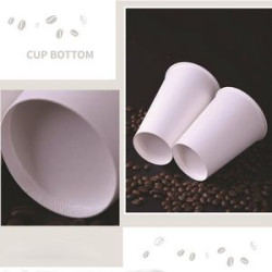 Paper cup with clear plastic lid