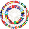 Toothpick Flag