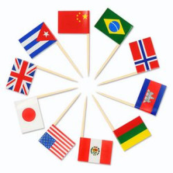 Toothpick Flag
