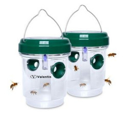 Solar Wasp Trap