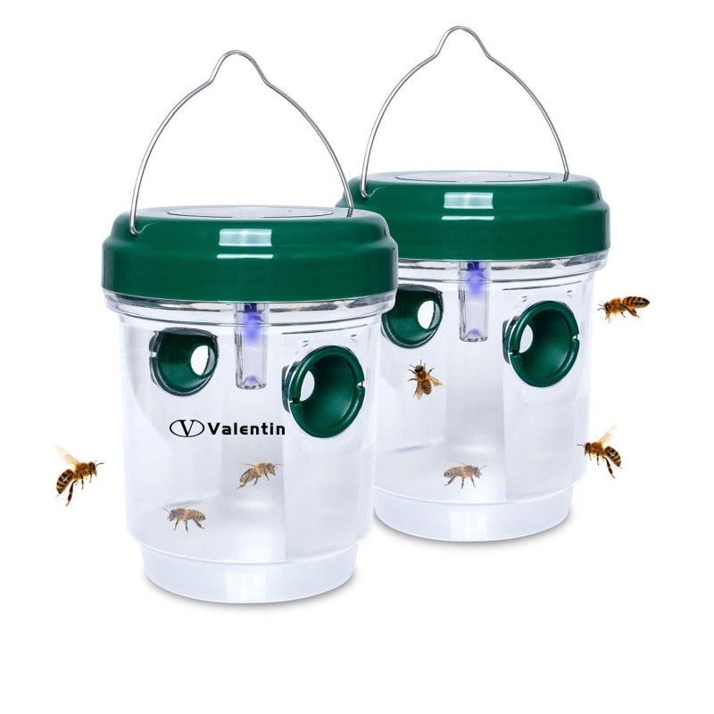 Solar Wasp Trap