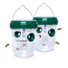 Solar Wasp Trap