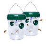 Solar Wasp Trap