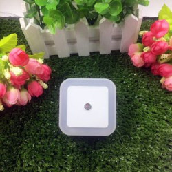 LED Night Light