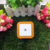 LED Night Light