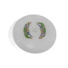 Flash Flight LED Pet Flying Disc