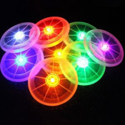 Flash Flight LED Pet Flying Disc