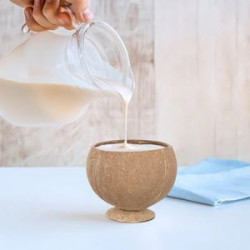 Coconut shell cup creative wine glass