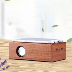 Portable Wooden Speaker Stereo Induction Usb Charging Audio