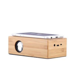 Portable Wooden Speaker Stereo Induction Usb Charging Audio