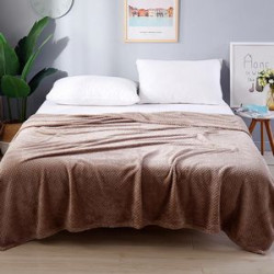 Picnic Plush Soft Throw Blanket