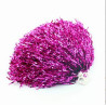 Girls' Cheerleading Pompom/Hand Flower
