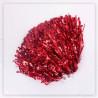 Girls' Cheerleading Pompom/Hand Flower