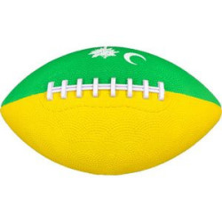 Youth Mid Size Football 6