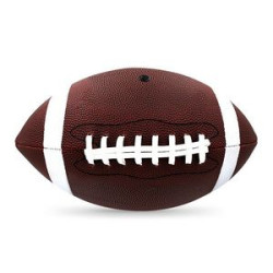 Youth Mid Size Football 6