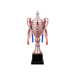Gold Silver and Bronze Trophies