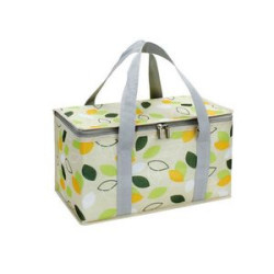 Insulated Folding Cooler Box Picnic Bag