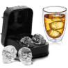 Whiscky Skull Ice Mold
