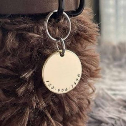 Pets ID tags
