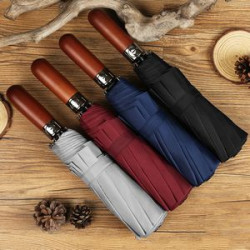 Portable Automatic Compact Windproof Travel Umbrella
