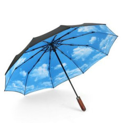 Portable Automatic Compact Windproof Travel Umbrella