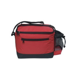 Lunch Cooler Bag