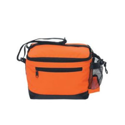 Lunch Cooler Bag