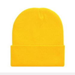 Winter Beanie Hats for Men Women