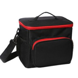 Dual Duty Lunch Cooler bag