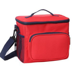Dual Duty Lunch Cooler bag