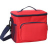 Dual Duty Lunch Cooler bag