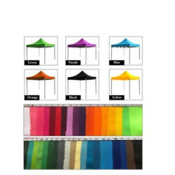 9.8' x 9.8' Canopy Tent