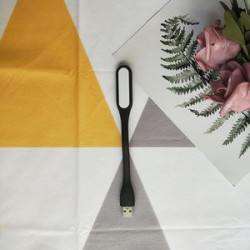 LED Mini USB Laptop Light