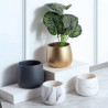 Home Single Ceramic Handmade Planter Pot