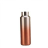 Portable gradient stainless steel insulated water bottle